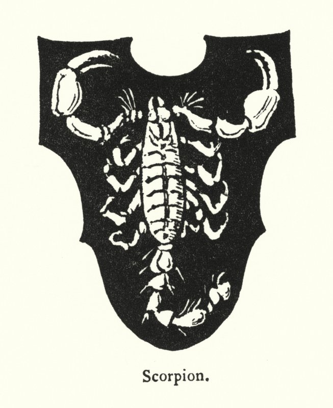 Skorpion (grawerowanie) autorstwa English School