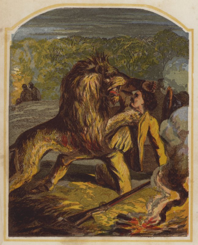 Szkocki misjonarz David Livingstone zaatakowany przez lwa w Afryce (chromolit) autorstwa English School