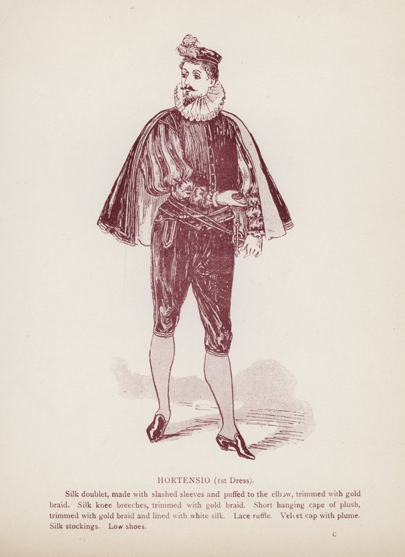 Poskromienie złośnicy Szekspira: Hortensio autorstwa English School