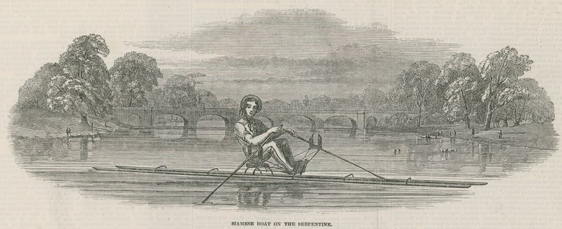 Syjamska łódź na Serpentine, Hyde Park, Lon autorstwa English School