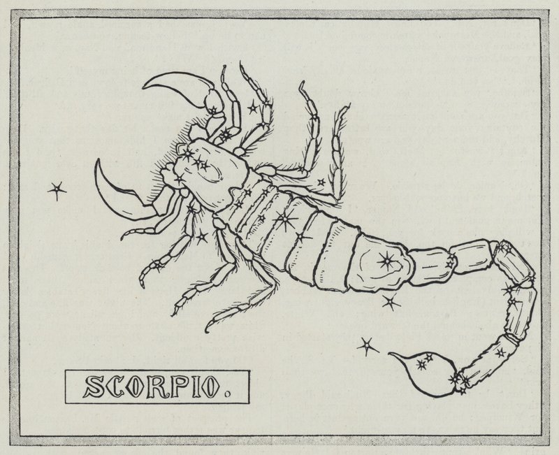 Znaki zodiaku: Skorpion (Grawerowanie) autorstwa English School