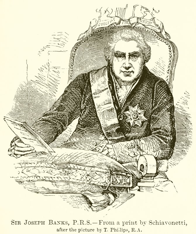 Sir Joseph Banks, PRS autorstwa English School