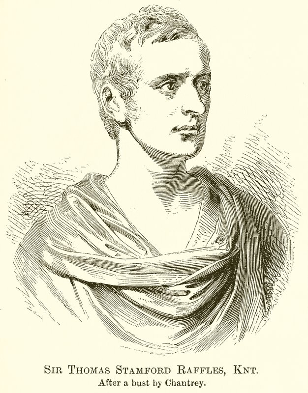 Sir Thomas Stamford Raffles, Knt autorstwa English School
