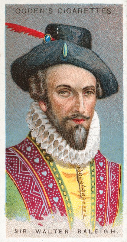 Sir Walter Raleigh autorstwa English School