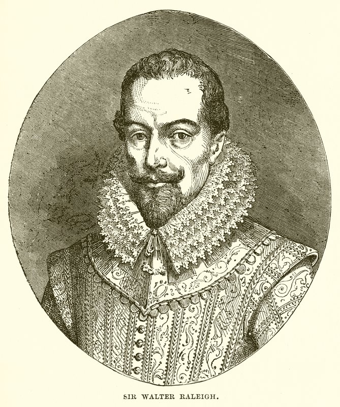 Sir Walter Raleigh autorstwa English School