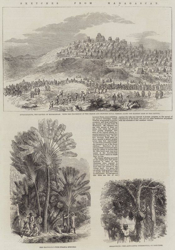 Szkice z Madagaskaru (grafika) autorstwa English School