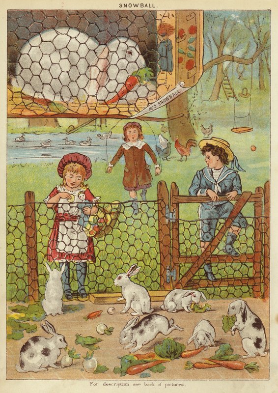 Śnieżka (chromolitho) autorstwa English School