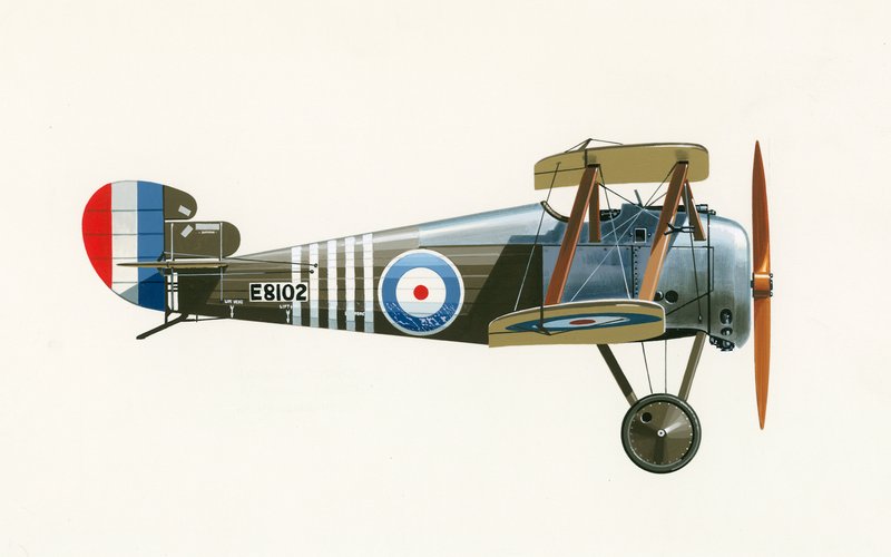 Sopwith 7F 1 Snipe autorstwa English School
