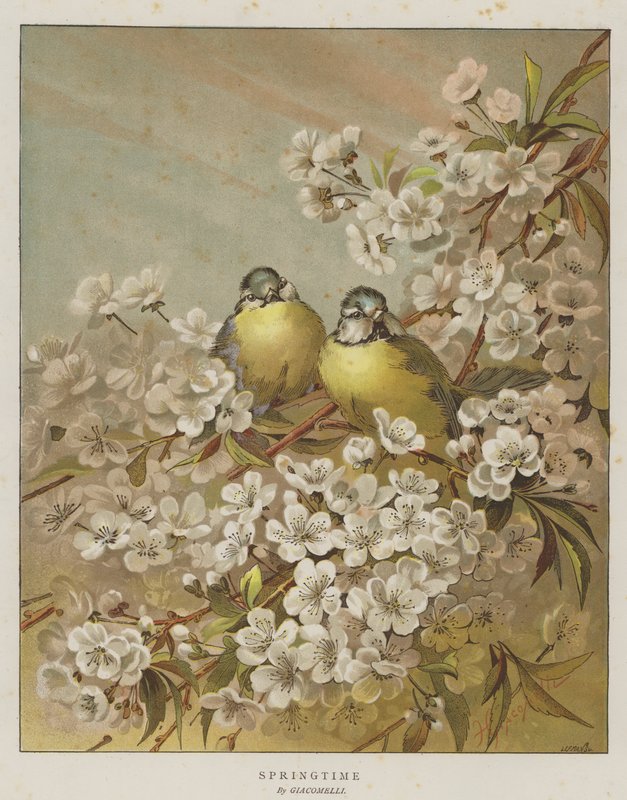 Wiosna (chromolitho) autorstwa English School