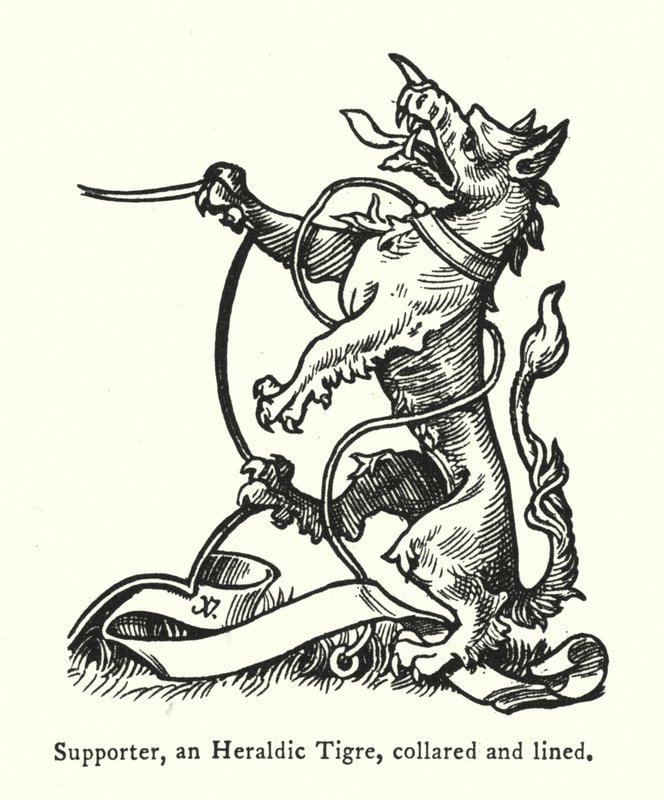 Zwolennik, tygrys heraldyczny, z kołnierzem i podszyciem (grawerunek) autorstwa English School
