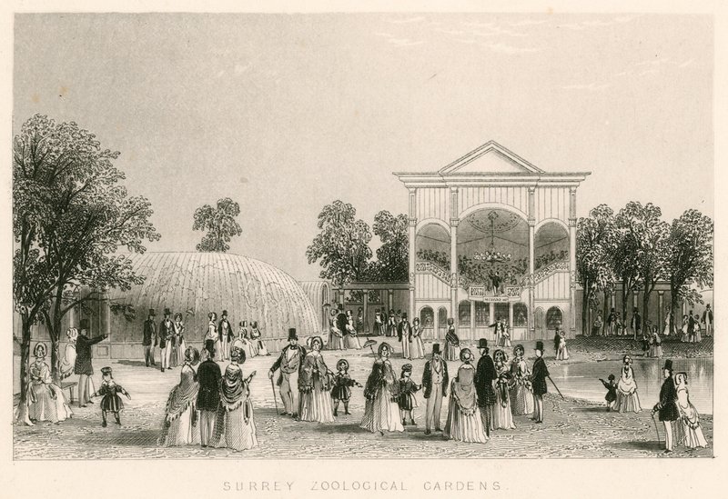 Surrey Zoological Gardens, Kennington, Londyn: nowa orkiestra autorstwa English School