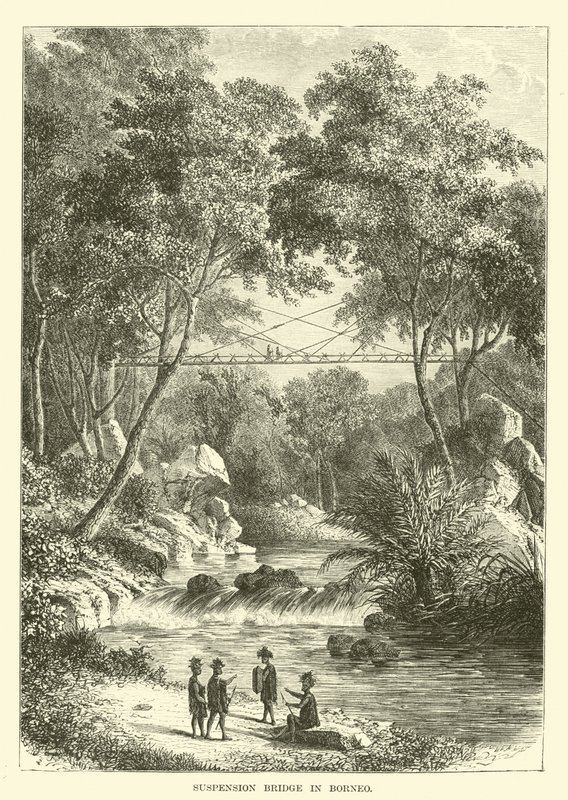 Most wiszący na Borneo autorstwa English School