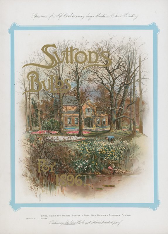 Żarówki Suttons na rok 1896 autorstwa English School