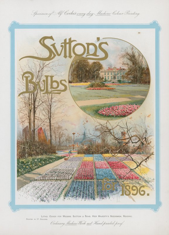 Żarówki Suttons na rok 1896 autorstwa English School