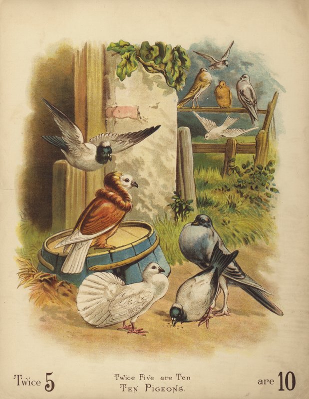 Dziesięć gołębi (chromolitho) autorstwa English School