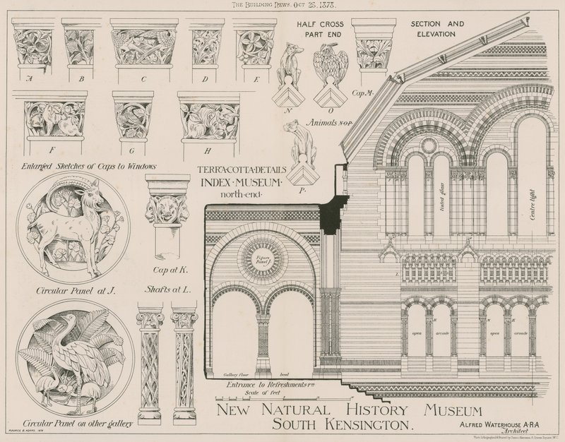 Detale z terakoty z nowego Muzeum Historii Naturalnej w South Kensington autorstwa English School