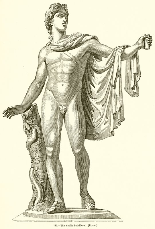 Apollo Belvidere. (Rzym) autorstwa English School
