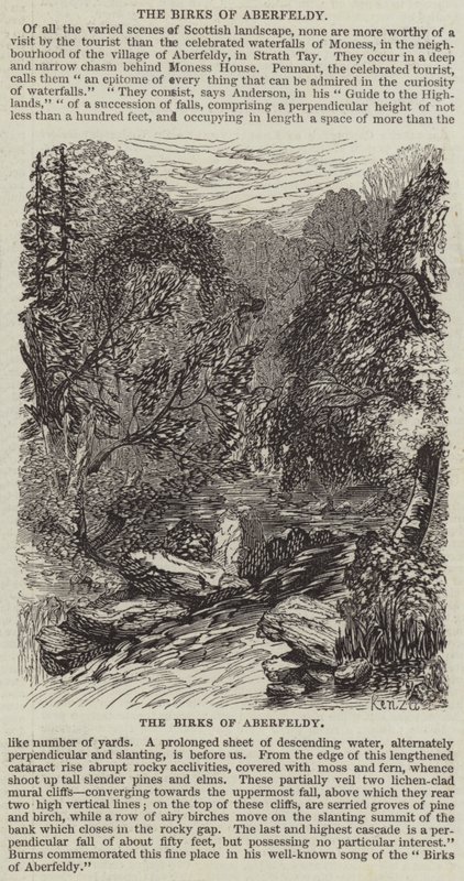 Birki z Aberfeldy (rycina) autorstwa English School