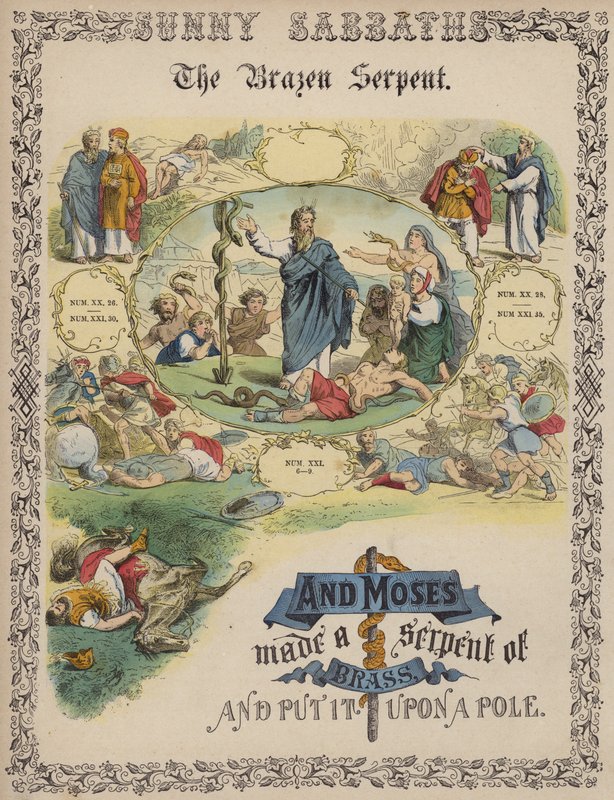 Miedziany wąż (kolorowy grawerunek) autorstwa English School