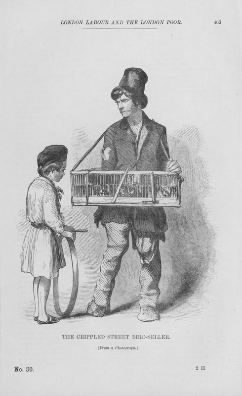 The Crippled Street Bird-Seller (grawerowanie) autorstwa English School