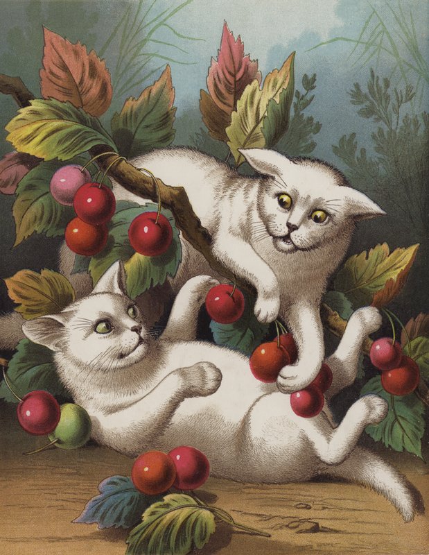 Krzyż Kitten (chromolitho) autorstwa English School