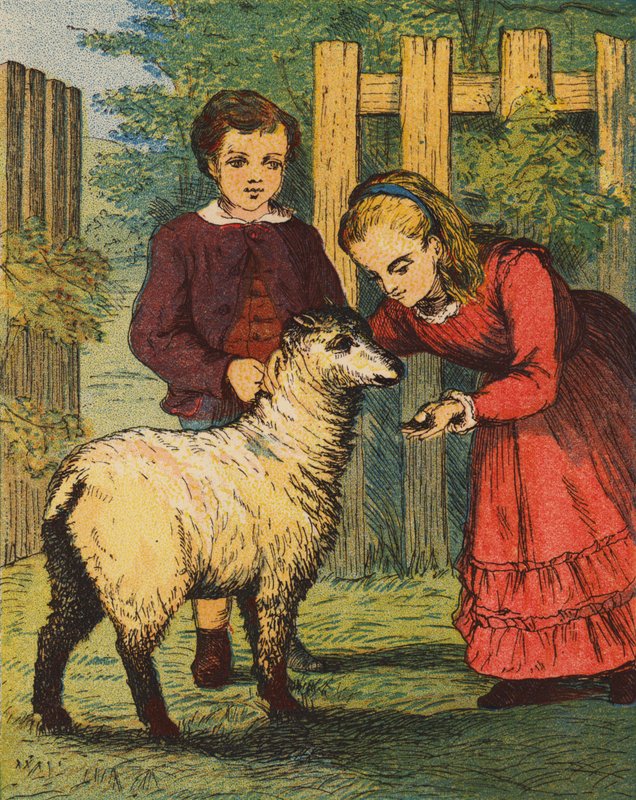 Baranek "Kukułka" (kolorowa litografia) autorstwa English School