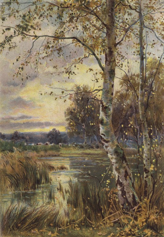 Spadający Liść (chromolitho) autorstwa English School