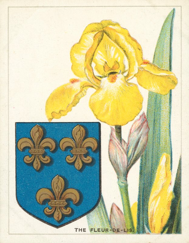 Fleur-de-lis (chromolit) autorstwa English School