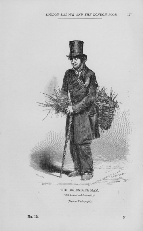 The Groundsel Man (rycina) autorstwa English School