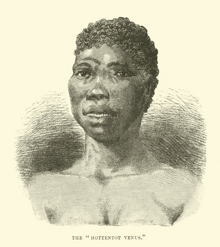 Hottentot Wenus autorstwa English School