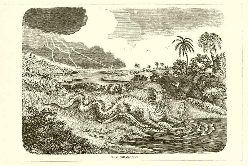 Iguanodon autorstwa English School