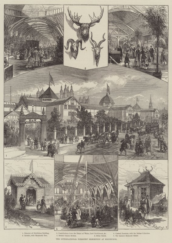 Międzynarodowa Wystawa Leśnictwa w Edynburgu (grafika) autorstwa English School