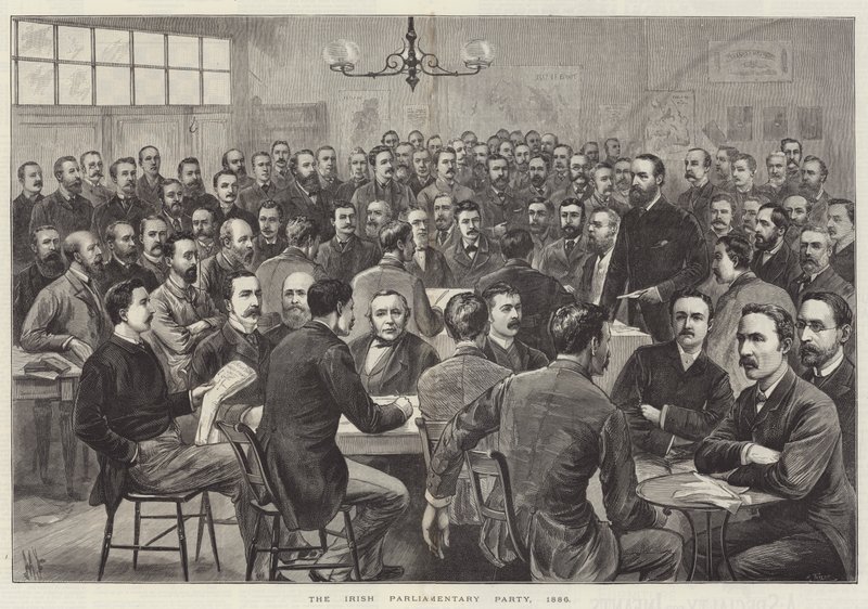 Irlandzka Partia Parlamentarna autorstwa English School