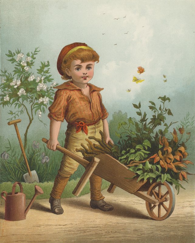 Mały Ogrodnik (chromolitho) autorstwa English School