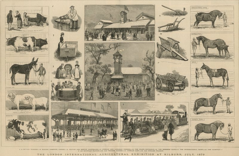 Londyńska Międzynarodowa Wystawa Rolnicza w Kilburn, lipiec 1879 r autorstwa English School