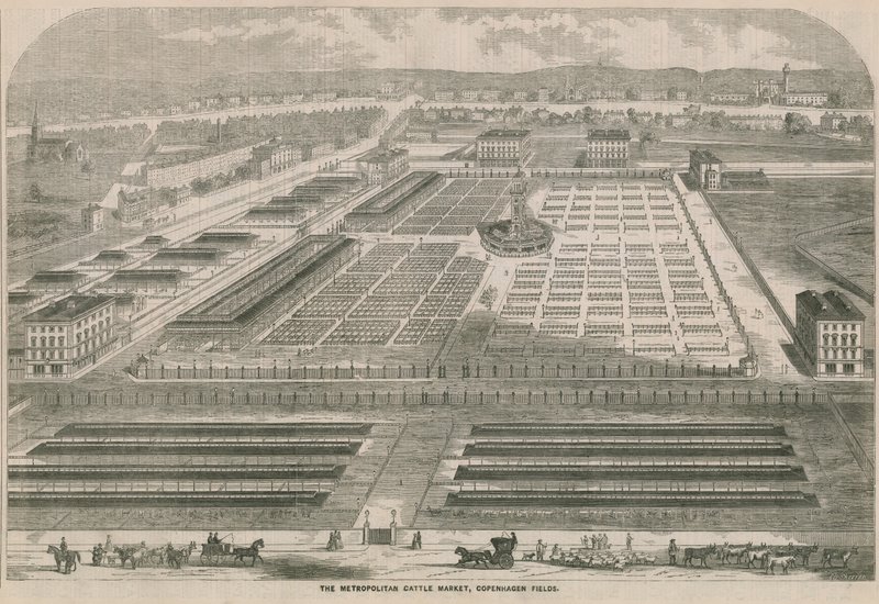 Metropolitan Cattle Market, Copenhagen Fields, Londyn autorstwa English School