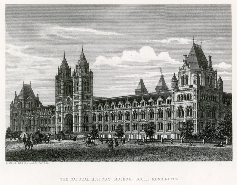 Muzeum Historii Naturalnej, 1881 r. autorstwa English School