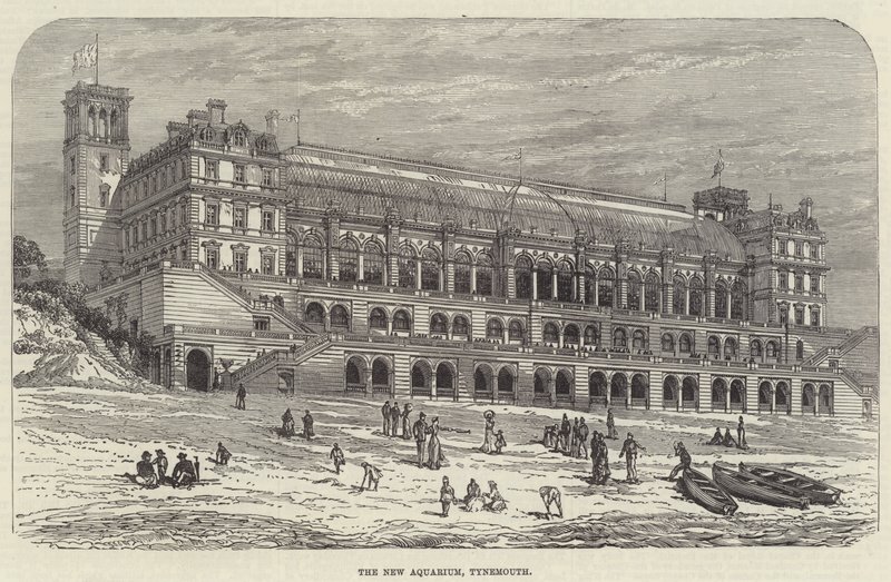 Nowe akwarium, Tynemouth (grawerowanie) autorstwa English School