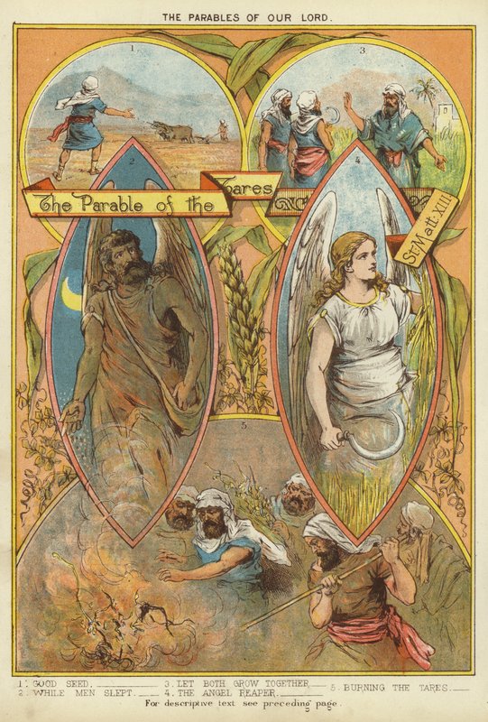 Przypowieści Chrystusa: Przypowieść o chwastach (chromolitho) autorstwa English School
