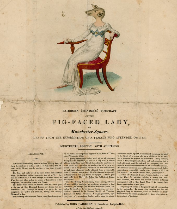 Lady of Manchester Square z twarzą świni, Londyn autorstwa English School