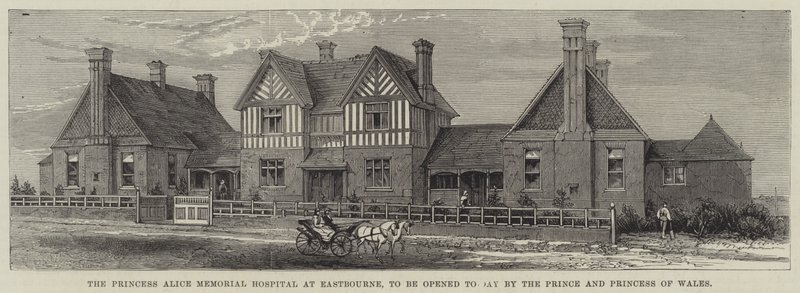 Szpital Princess Alice Memorial Hospital w Eastbourne, który zostanie dziś otwarty przez księcia i księżną Walii (rycina) autorstwa English School