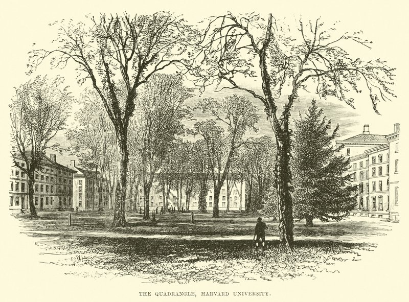 Czworokąt, Uniwersytet Harvarda autorstwa English School