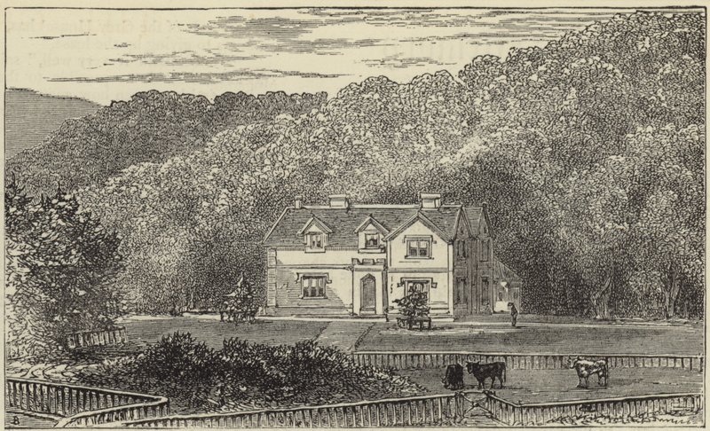 Królowa w Balmoral autorstwa English School