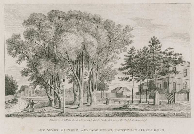 The Seven Sisters i Page Green, Tottenham High-Cross, Londyn autorstwa English School