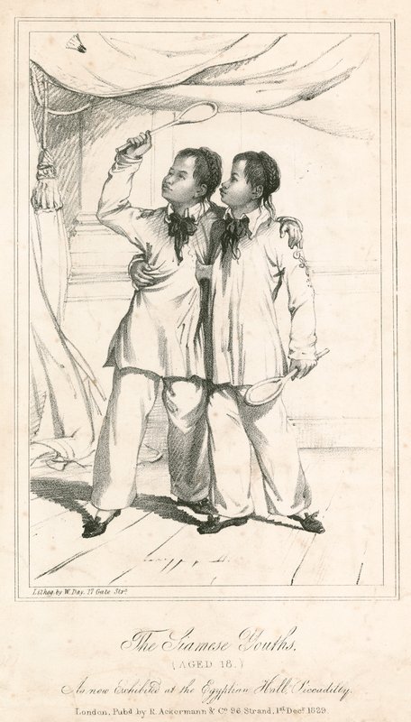 The Siamese Youths (18 lat), nowa wystawa w egipskiej sali Piccadilly autorstwa English School
