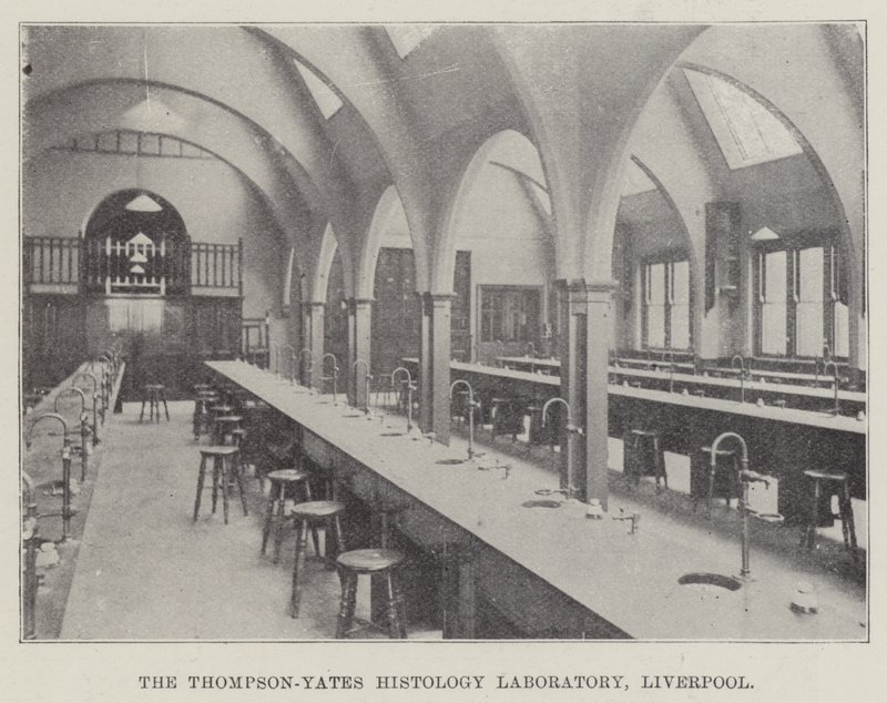 The Thompson-Yates Histology Laboratory, Liverpool (grawerowanie) autorstwa English School