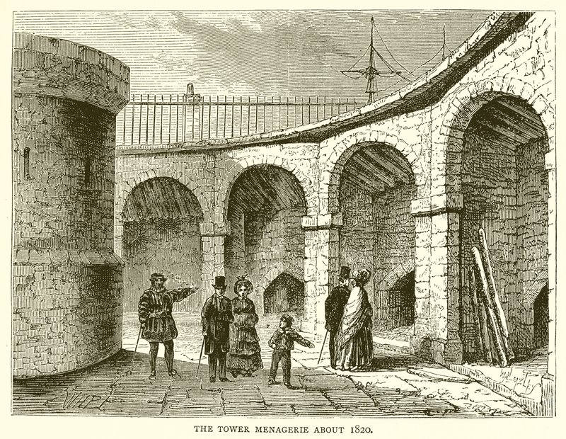 Menażeria Wieży około 1820 autorstwa English School