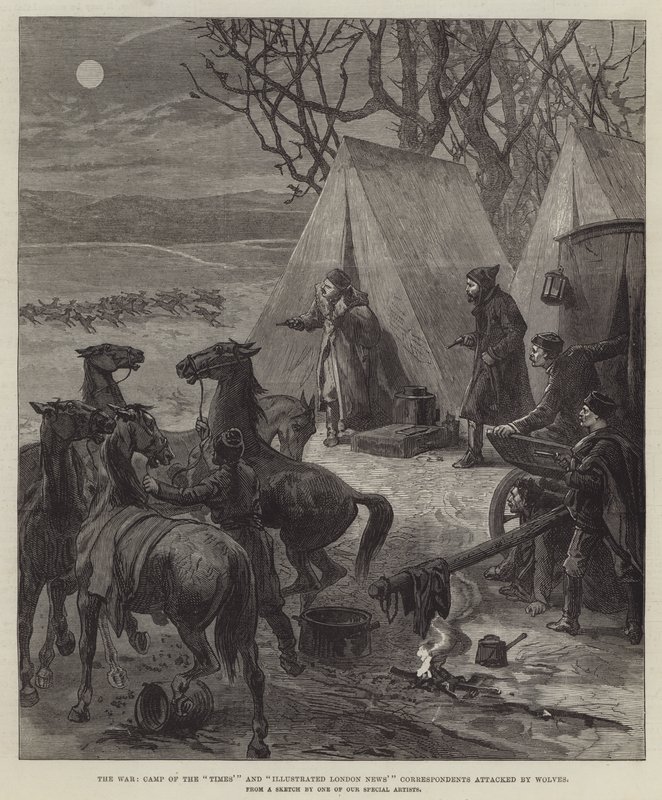 Wojna, obóz „Timesa” i „Illustrated London News” Korespondenci zaatakowani przez Wilki (rycina) autorstwa English School