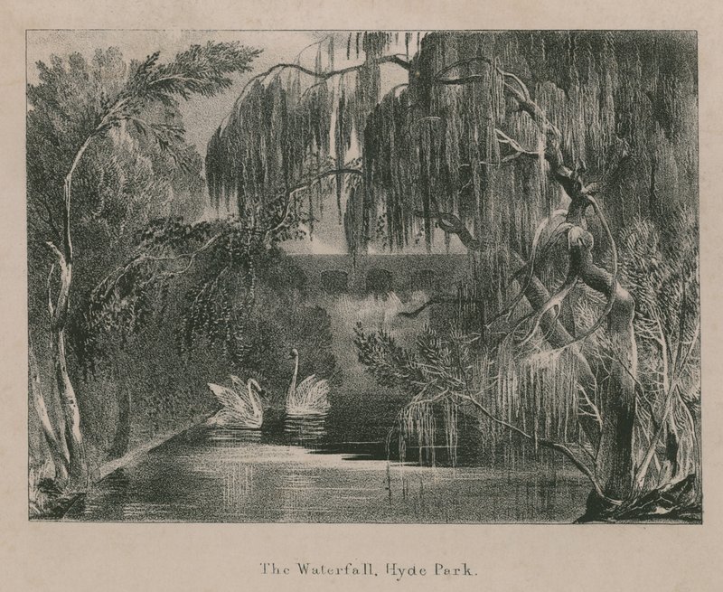 Wodospad, Hyde Park, Londyn autorstwa English School