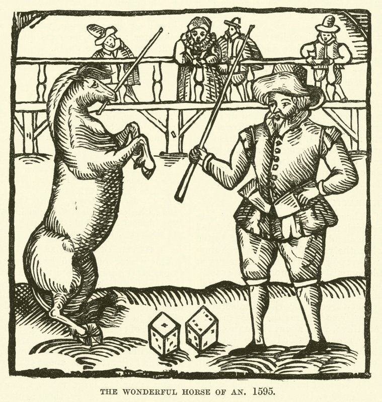 Wspaniały koń An, 1595 autorstwa English School